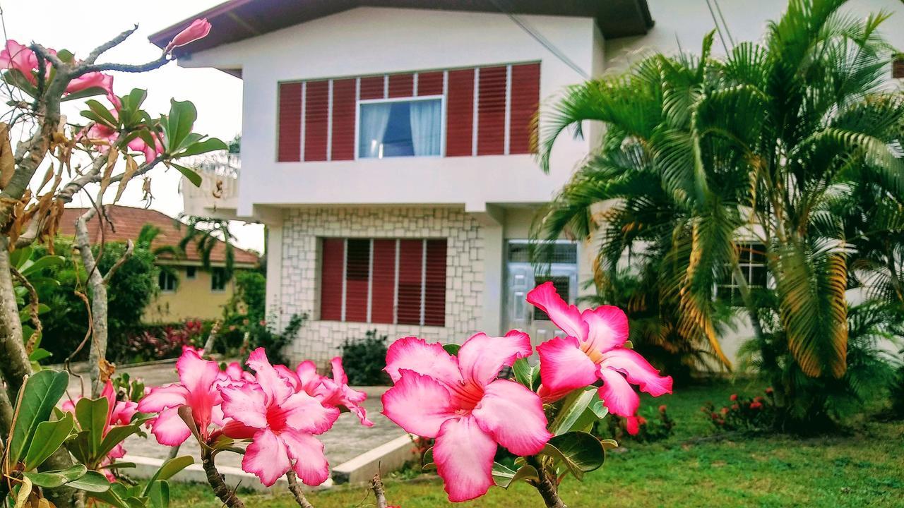 Jacks Hill Tropical Arcadia Ξενοδοχείο Κίνγκστον Εξωτερικό φωτογραφία